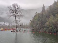 -梁野山景区