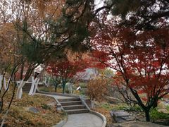 -北京园博大酒店