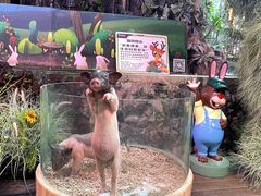 -正佳雨林生态植物园