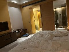 -河源万绿湖美思威尔顿酒店
