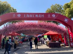 -南汇桃花村