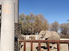 -鄂尔多斯野生动物园