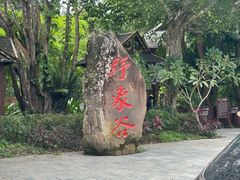 -野象谷景区