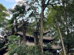 -天一阁博物院