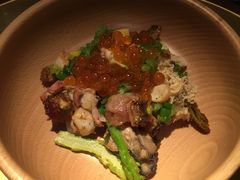 -地球美食剧场
