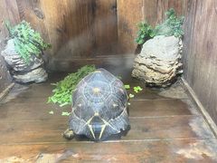 -太原动物园