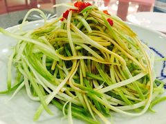 -碧丽宫大酒店(召稼楼店)