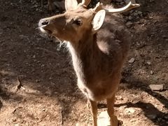 -昆明动物园