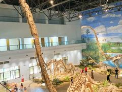 -自贡恐龙博物馆