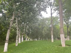 -西海子公园