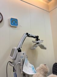 -Yestar杭州艺星医疗美容医院