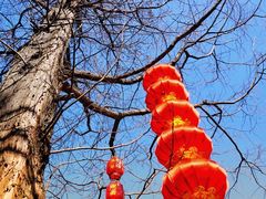 -无锡梅园公园