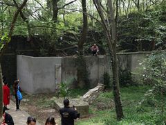 -虞山城墙