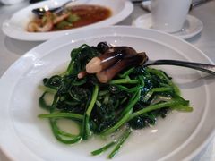 -皇朝会.经典传统粤菜(外滩店)