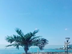 -Vanillacafe香草咖啡(银海大世界店)