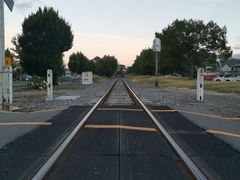 -Pedro's House of Lamb(基督城)