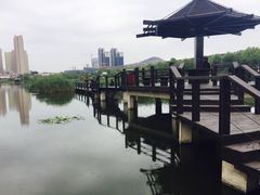 -前关湿地公园