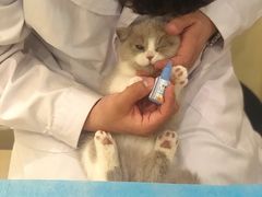 -美迦爱-牙专科·兔科·骨科诊疗中心(北苑店)