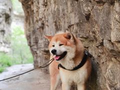 -龙门涧景区
