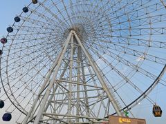 -琴岛之星摩天轮