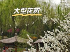 -北坞公园