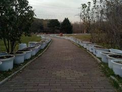 -黑龙江省森林植物园