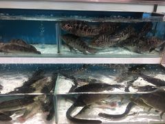 -盒马鲜生(莱蒙都会店)