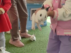 -萌宠亲子动物乐园(槐房万达店)