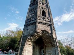 -上海佘山国家森林公园天马山园