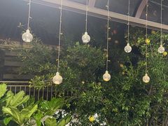-阿鹏故事云南野生菌火锅(人民路店)