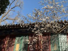 -潭柘寺景区