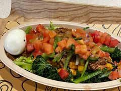 -油梨树 AVOCADO TREE(亮马桥店)
