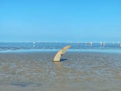 -南汇嘴观海公园