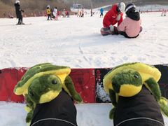 -北京万龙八易滑雪场