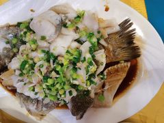 特色香葱淋鲈鱼-粤·向群饭店(泮塘路店)