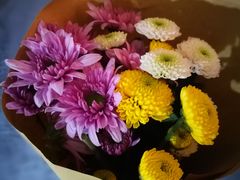 -双季花艺园艺市场(浦东店)
