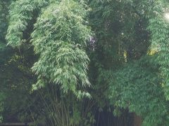 -黔灵山公园