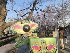 -南京大牌档(崇文门国瑞店)