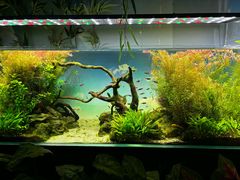 -沈阳海洋探索中心