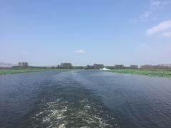 -微山湖红荷湿地景区