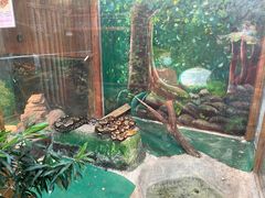 -上海大自然野生昆虫馆