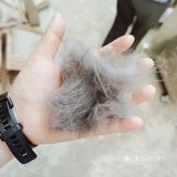 萌宠出道😷脱毛的肥肥