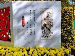 -上海共青森林公园