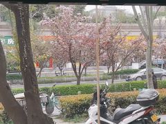-叁宝烤肉• 西安烧烤(高科新花园店)