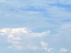-上海吴淞炮台湾国家湿地公园