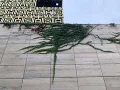 -中国沉香文化博物馆