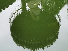 -吴兴寺