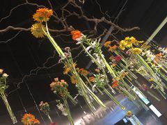-自然餐厅(Phuket)