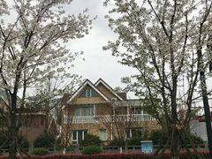 -钱塘江大桥
