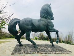 -养马岛旅游度假区